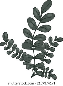 Plant branch vector illustration foray use.