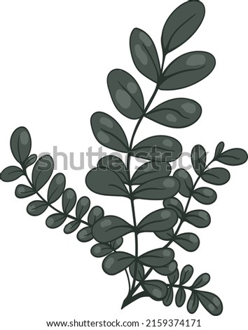 Plant branch vector illustration foray use.