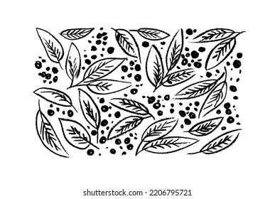 Plant branches with berries hand drawn with pencil. Vector illustration set of contour leaves with berries isolated on white background. Rough twigs, leaves or sprigs. Botanical elements