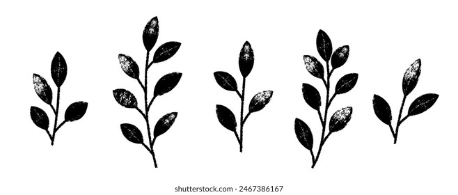 Plant branches with black leaves. Hand drawn floral botanical elements. Cliparts isolated on white