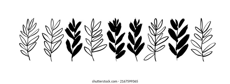 Plant branches with black leaves vector illustrations set. Collection of olive leaves silhouettes and outline. Vector hand drawn black line design elements. Twigs and sprigs. Botanical plant clipart
