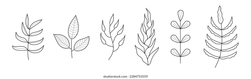 Plant branches doodle set vector. Floral branch and minimalist leaves for tattoo or logo. Tree branches with leaf and flowers. Botanical line contemporary trendy line icons. 