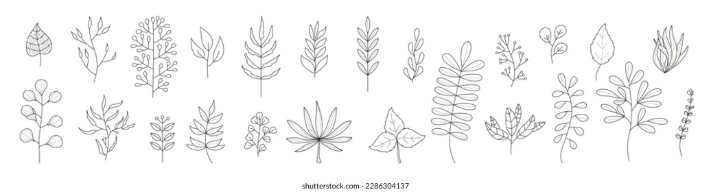 Plant branches doodle set vector. Vintage hand drawn tree branches with leaves and flowers. Tree branches with leaf and flowers. Botanical line contemporary elements.