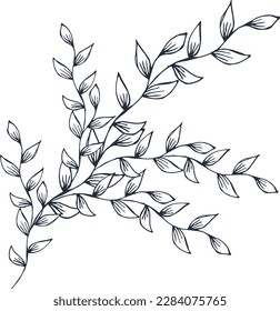 Dibujo de ramas vegetales, ilustración vectorial. Imagen aislada de una rama de planta estilizada, decoración