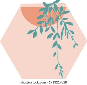 Plant branches in flower pots in vector