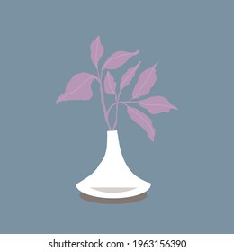 plant branches with foliage leaves in a vase bottle decanter with shadow on a colored background
