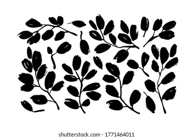 Plant branches with leaves black paint vector illustrations set. Hand drawn foliage branch and twigs silhouettes isolated on white background. Monochrome eucalyptus leaves, dry brush strokes