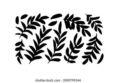 Plant branches with leaves black paint vector illustrations set. Hand drawn foliage branch and twigs silhouettes isolated on white background. Monochrome botanical design elements, dry brush strokes