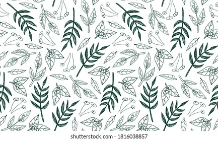 Plant branches and leaves. Hand drawn doodle illustration. Seamless pattern with vector elements. Natural template for autumn design, print, greeting card, sticker pack