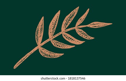 Plant branches and leaves. Hand drawn doodle illustration isolated on green background. Vector elements. Natural template for autumn design, print, greeting card, sticker pack