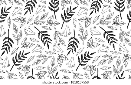 Plant branches and leaves. Hand drawn doodle illustration. Seamless pattern with vector elements. Natural template for autumn design, print, greeting card, sticker pack