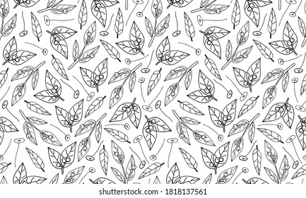 Plant branches and leaves. Hand drawn doodle illustration. Seamless pattern with vector elements. Natural template for autumn design, print, greeting card, sticker pack