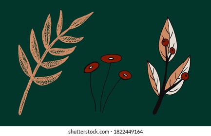 Plant branches and leaves. Hand drawn doodle illustration isolated on green background. Vector elements. Natural template for autumn design, print, greeting card, sticker pack