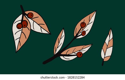 Plant branches and leaves. Hand drawn doodle illustration isolated on green background. Vector elements. Natural template for autumn design, print, greeting card, sticker pack