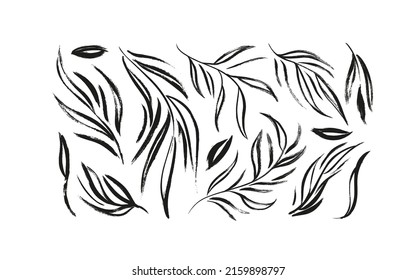 Plant branches with long leaves vector illustrations set. Hand drawn branch and twigs isolated on white. Hand drawn eucalyptus foliage, herbs, tree branches. Monochrome rustic botanical illustration.