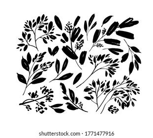 Plant branches with small leaves black paint vector illustrations set. Set of black silhouettes leaves and twigs. Hand drawn eucalyptus foliage, herbs, tree branches. Ink elements isolated on white.