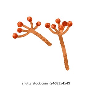 Plant branches. Sprig with berries, flowers. Delicate floral twig. Gentle botanical decoration, decorative flora. Beautiful flora, design element. Flat vector illustration isolated on white background