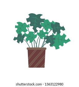 Plant with broad leaves vector, stylish decor for home interior. Decoration natural flower growing in pot with stripes ornaments, brown container