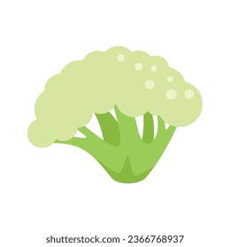 Plant brocoli icon flat vector. Vegetable cabbage. Sweet salad isolated