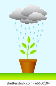 Plant in brown pot