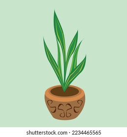 Plant in a brown pot with a pattern, sansiviera. Vector illustration isolated on a white background, for decoration, interior simulation and more.