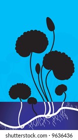  plant with bud in blue background	