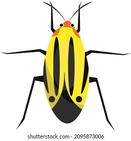 Plant bug, illustration, vector on a white background.