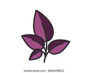 Plant with burgundy leaves. Nature and planting design element. Isolated vector image
