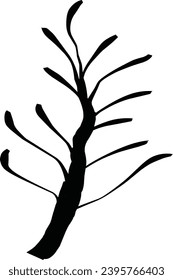 The plant is a cactus tree