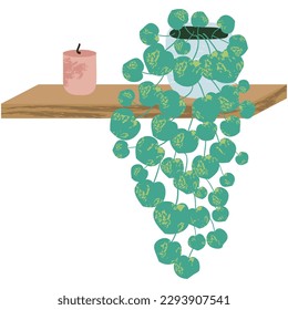 Plant and candle on shelf for home interior vector