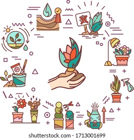 Cartel web de cuidado vegetal. Procedimientos de atención complejos para la rotación de plantas. Infografía con iconos lineales sobre fondo blanco. Concepto creativo. Ilustración de color de contorno aislada