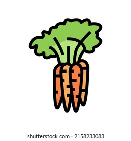 plant carrot color icon vector. plant carrot sign. isolated symbol illustration