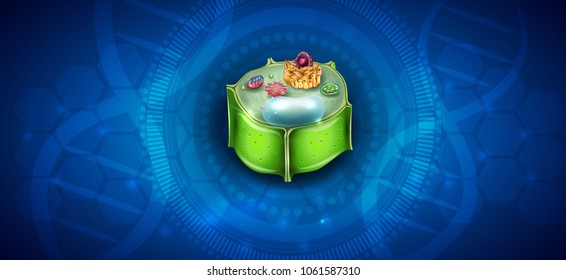 Plant Cell structure, cross section of the cell detailed colorful anatomy on an abstract blue science background