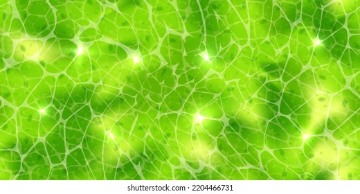 Plant cells with nuclears texture under a microscope or abstract green seamless pattern. Leaf tissue layer vector macro illustration. Microbiology background. Scientific structure.