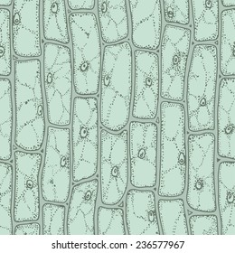 Plant cells under microscope seamless vector pattern