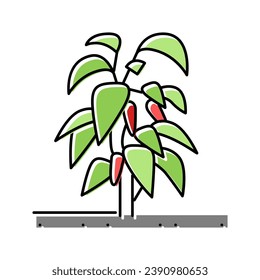 plant chili pepper color icon vector. plant chili pepper sign. isolated symbol illustration