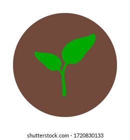 Plant and circle on white