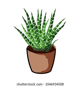 Plant in a clay pot. Element of home decor. The symbol of growth and ecology. Vector illustration. Eps 10