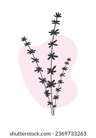Planta, estilo limpio. Vector botánico. Bouquet, ilustración minimalista. Estilo de doodle lineal. Un ramo en un lugar rosa. Para impresiones, pegatinas, postales.