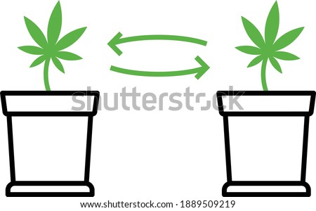 Plant Cloning Concept, Cannabis Leaf in Pot Vector color Icon Design, Marijuana and psychoactive drug Symbol on white background, Hashish and Hemp Sign,