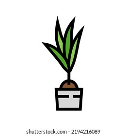 plant coconut coco color icon vector. plant coconut coco sign. isolated symbol illustration