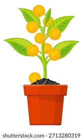 A plant with a lot of coins in it