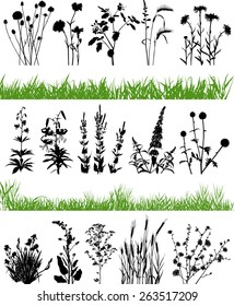 Plant collection