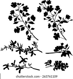 Colección vegetal