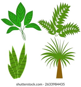 Ilustração de coleção de plantas. Variedade de folha verde. Desenho vetorial.