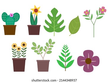 Diseño de vectores de iluminación de colección de plantas 