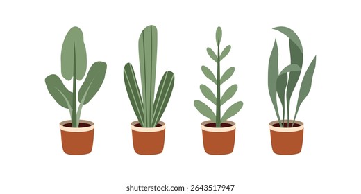 Plant collection. Plant on pot. Set of potted plant. House plants. Botany. Flower pot. Cactus.