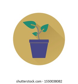 Plant colored icon. Vector illustration