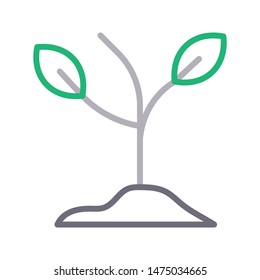 plant colour line vector icon