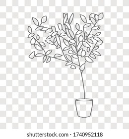 plant concept on transparency background. Creative idea design. Flat vector illustration for template, brochure or presentation.